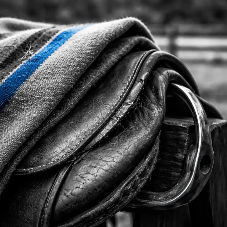 Estancia Living for Families: Horseback Mornings, Asado Afternoons, Quiet Nights